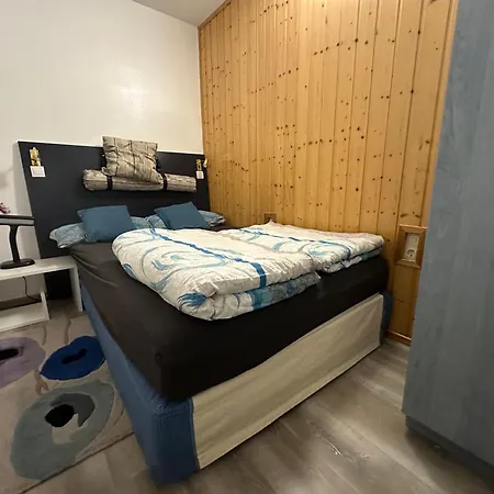 Moderne Und Komfortable Im Hahnenklee * גוסלר