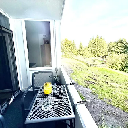 アパート Moderne Und Komfortable Im Hahnenklee