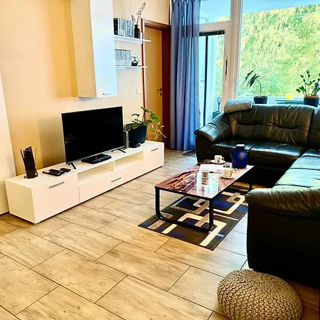 Moderne Und Komfortable Im Hahnenklee דירה גוסלר