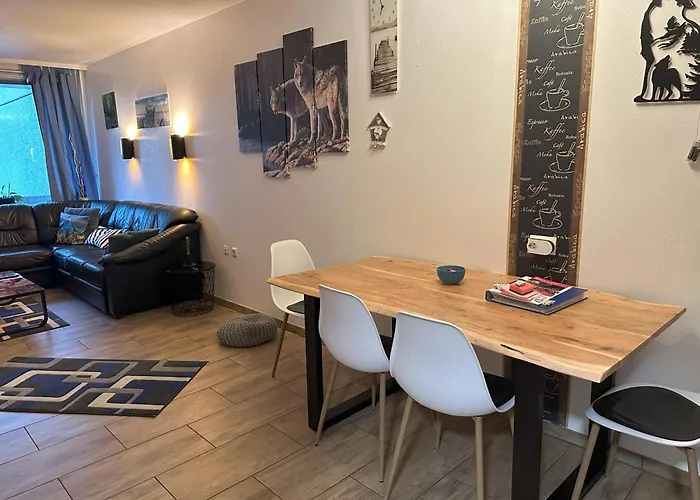 Moderne Und Komfortable Im Hahnenklee Daire