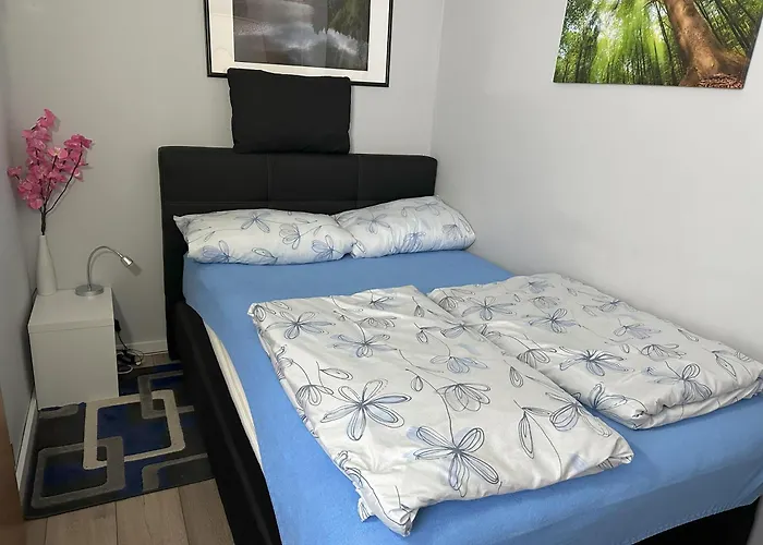Moderne Und Komfortable Im Hahnenklee *