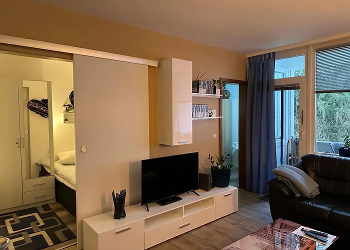 Daire Moderne Und Komfortable Im Hahnenklee Goslar