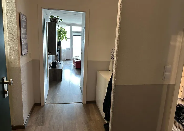 Moderne Und Komfortable Im Hahnenklee 公寓 *