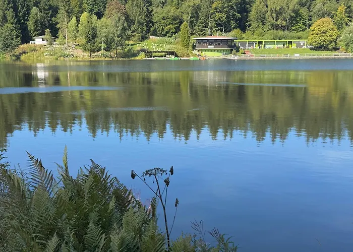 Moderne Und Komfortable Im Hahnenklee