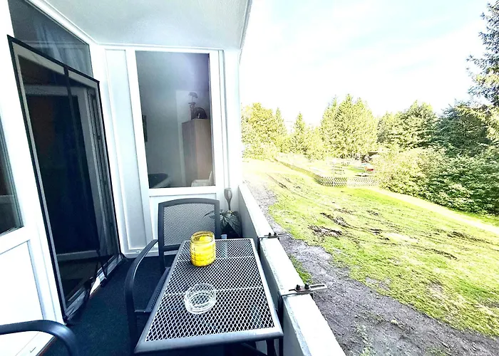 公寓 Moderne Und Komfortable Im Hahnenklee
