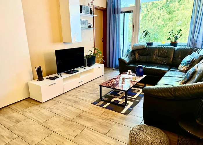 Moderne Und Komfortable Im Hahnenklee 公寓 戈斯拉尔